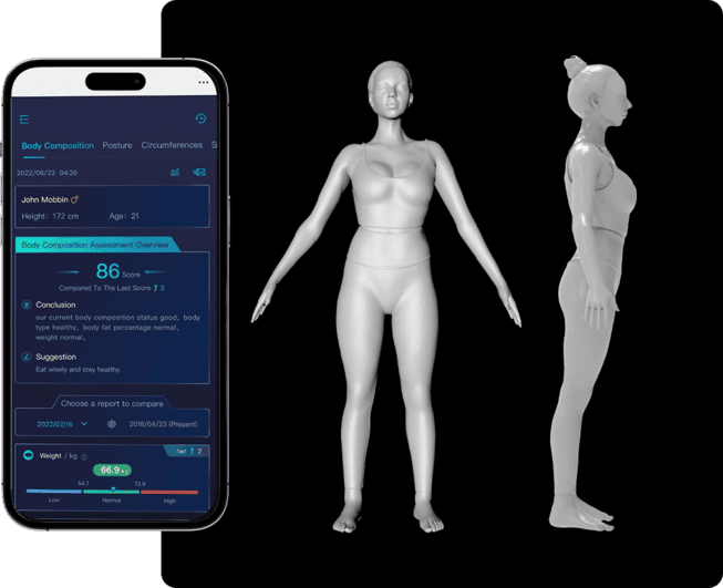 Segmental fat distribution and BMI visualization
